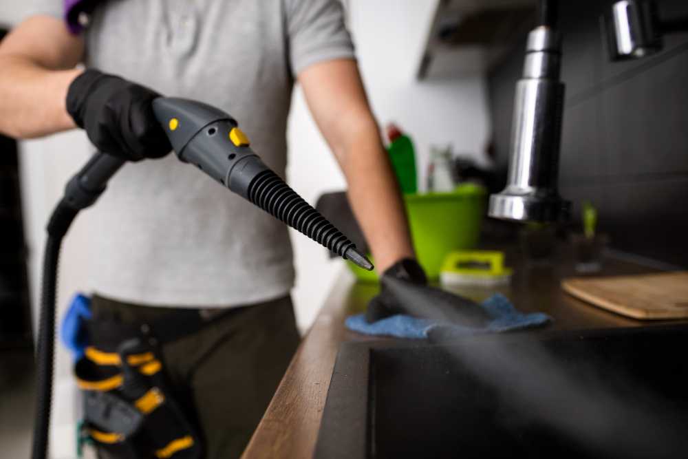 Professional cleaning team