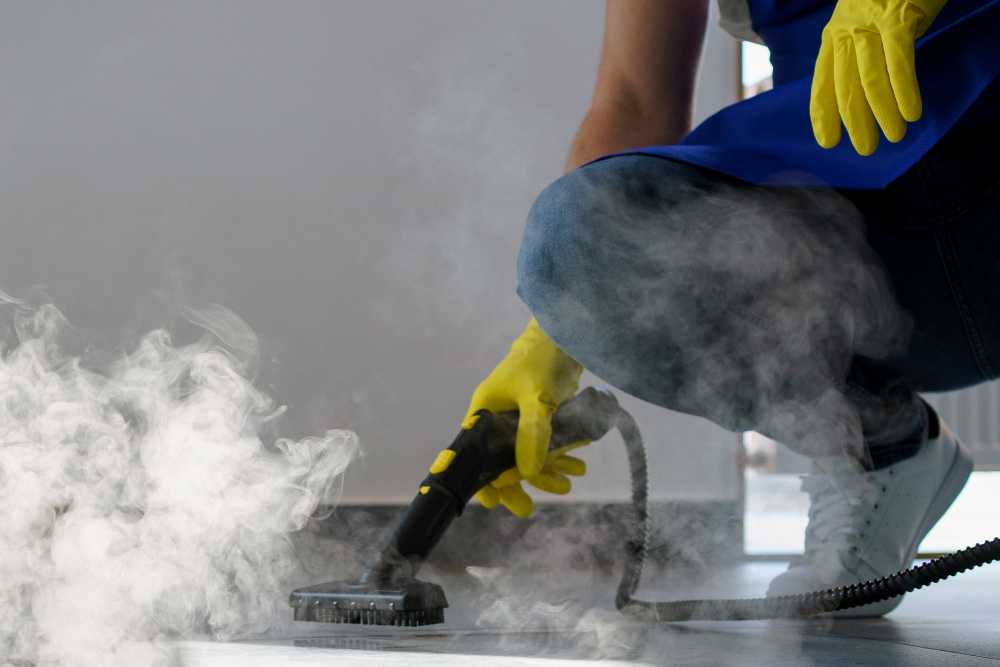 Professional cleaning team